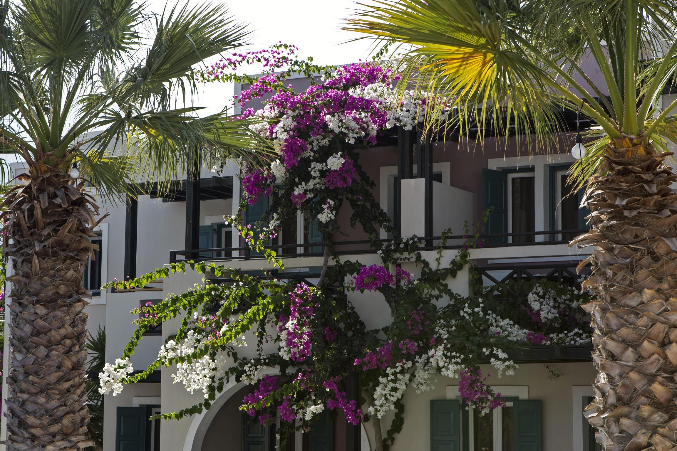 Rose Bay Hotel Kamári Kültér fotó